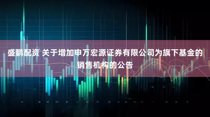 盛鹏配资 关于增加申万宏源证券有限公司为旗下基金的销售机构的公告