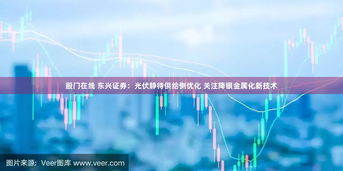 股门在线 东兴证券：光伏静待供给侧优化 关注降银金属化新技术
