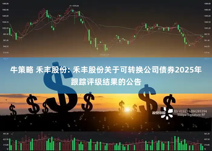 牛策略 禾丰股份: 禾丰股份关于可转换公司债券2025年跟踪评级结果的公告